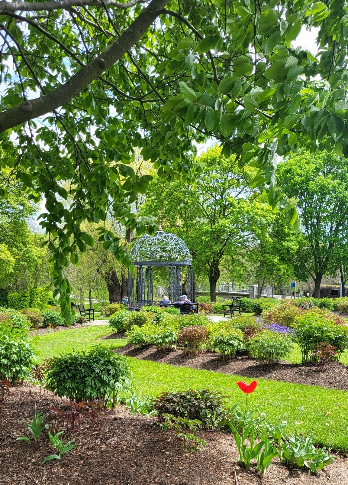 Oshawa Ontario neighbourhood guide
